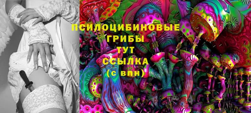 Псилоцибиновые грибы Magic Shrooms  Донской 